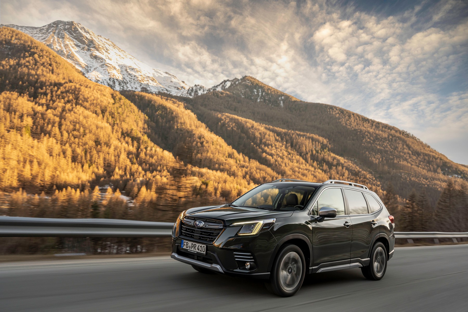 forester