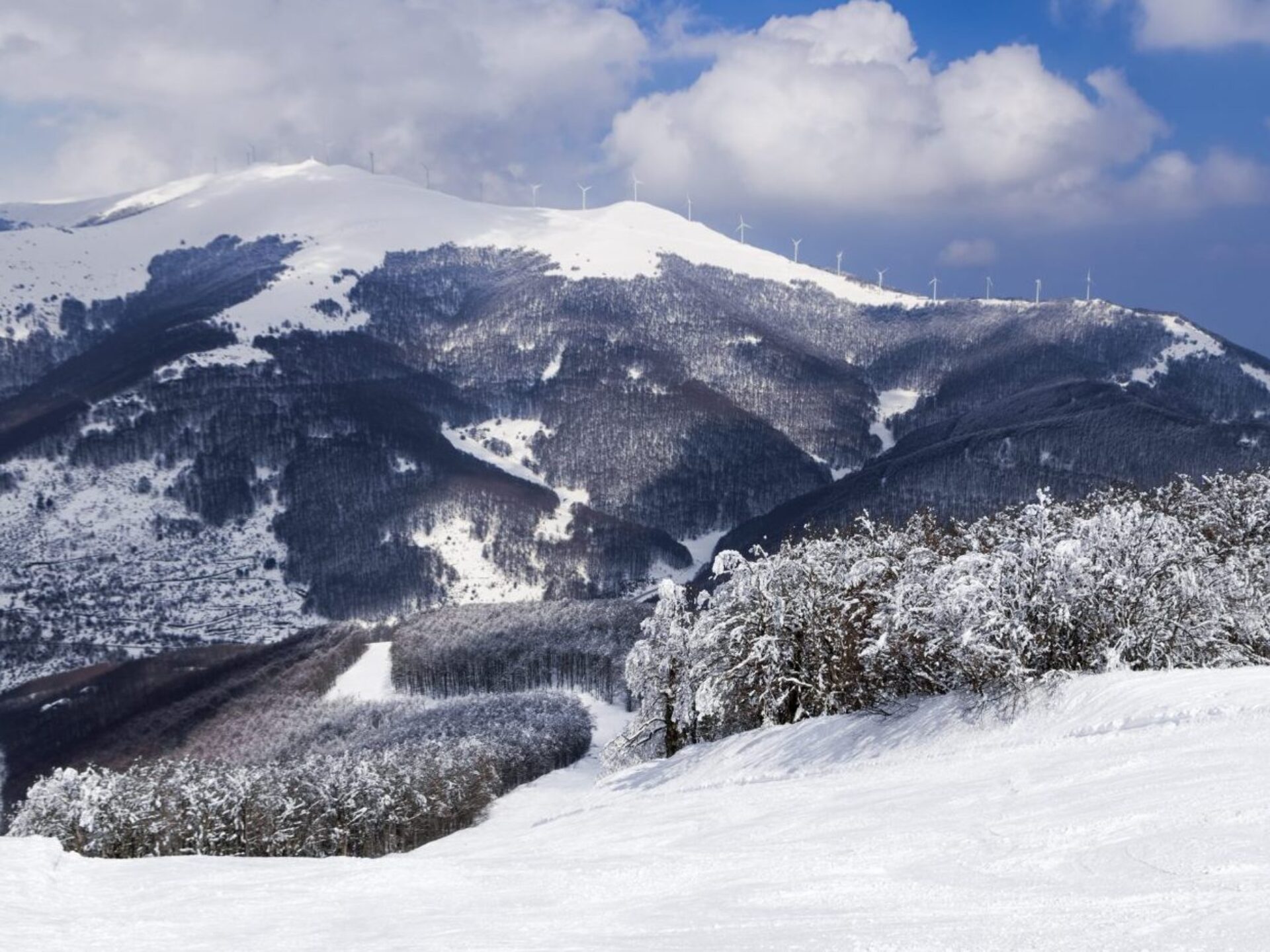 Καιρός: «Τσουχτερό κρύο για τις επόμενες 48 ώρες» – Πότε επιστρέφουμε στα 15άρια