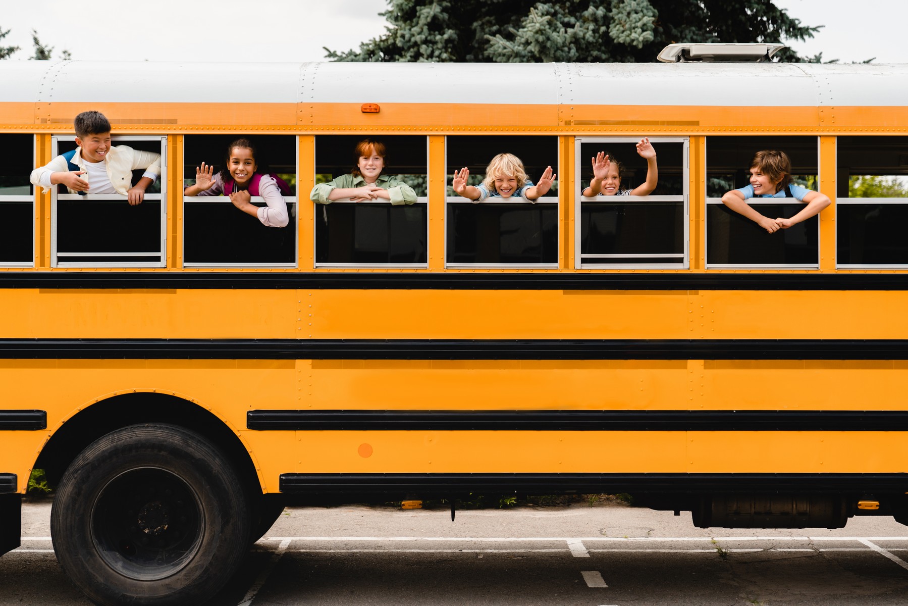 bus