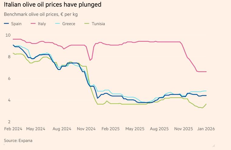 &epsilon;&lambda;&alpha;&iota;ό&lambda;&alpha;&delta;&omicron;
