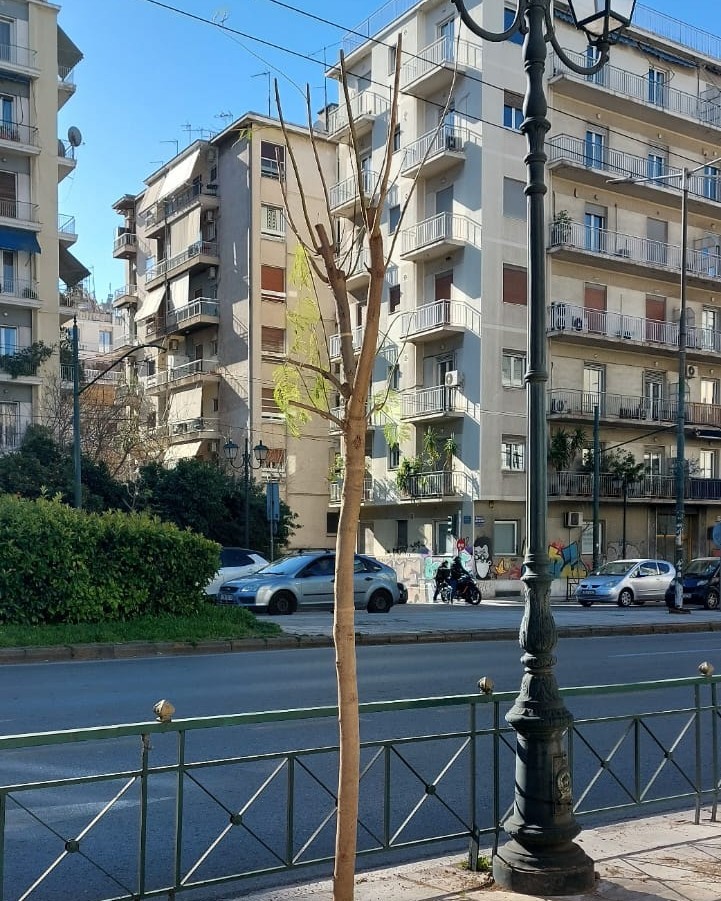 athina
