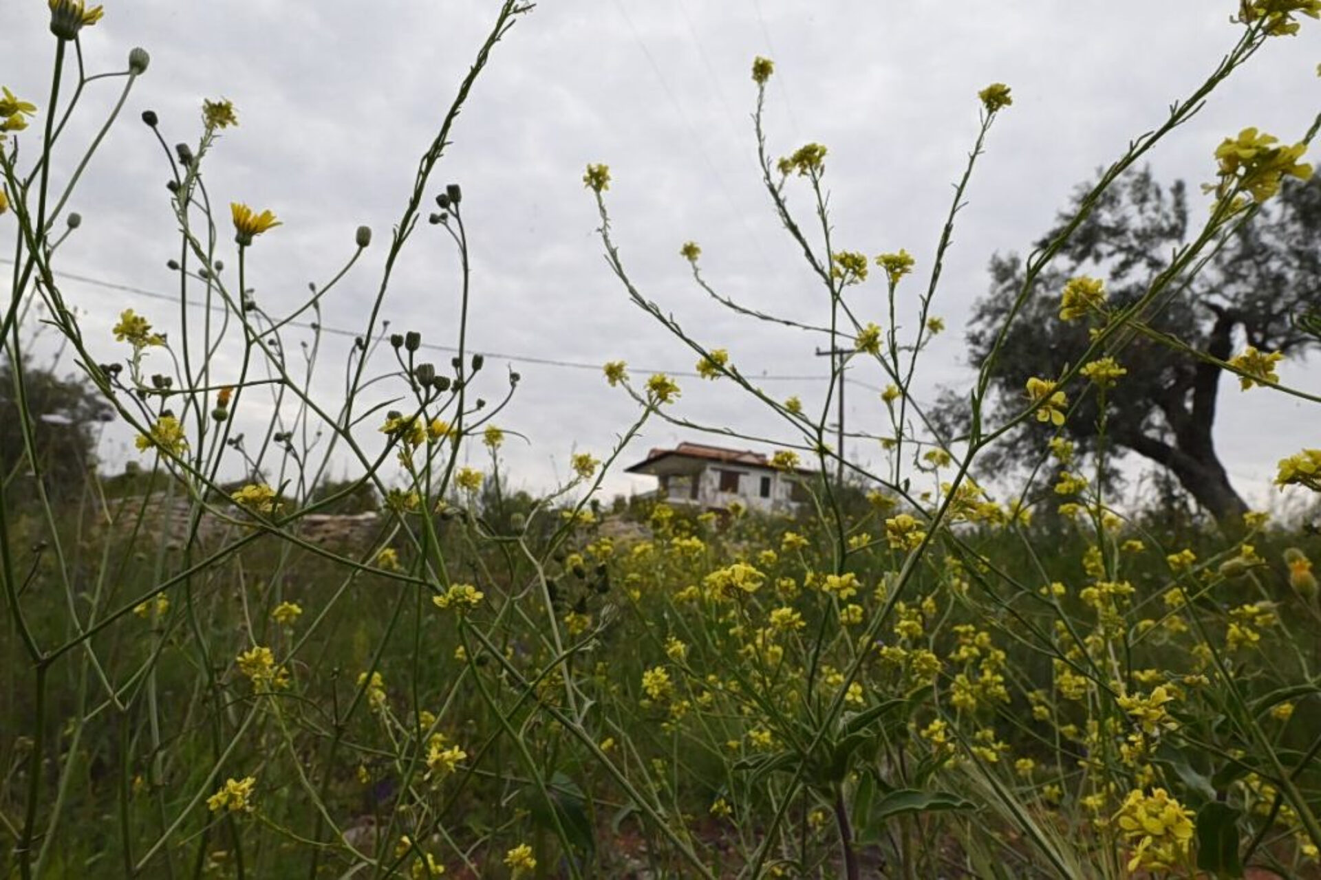 Πάσχα με «εκπλήξεις» στον καιρό: Έρχονται βροχές και χαμηλότερες θερμοκρασίες