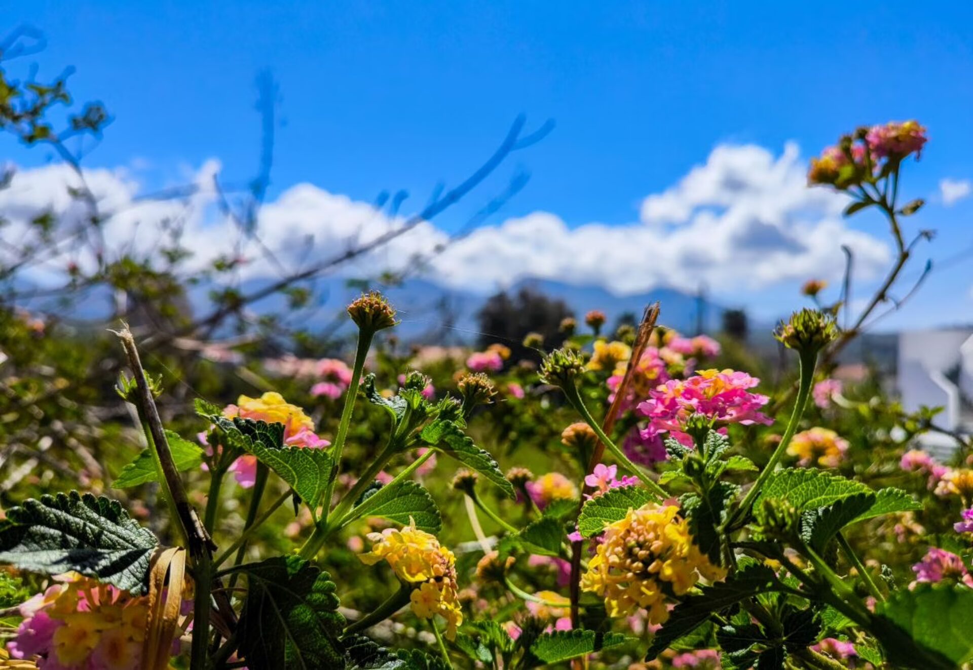 Καιρός: Επιτάφιος με λίγες βροχές και Πάσχα με άνοιξη