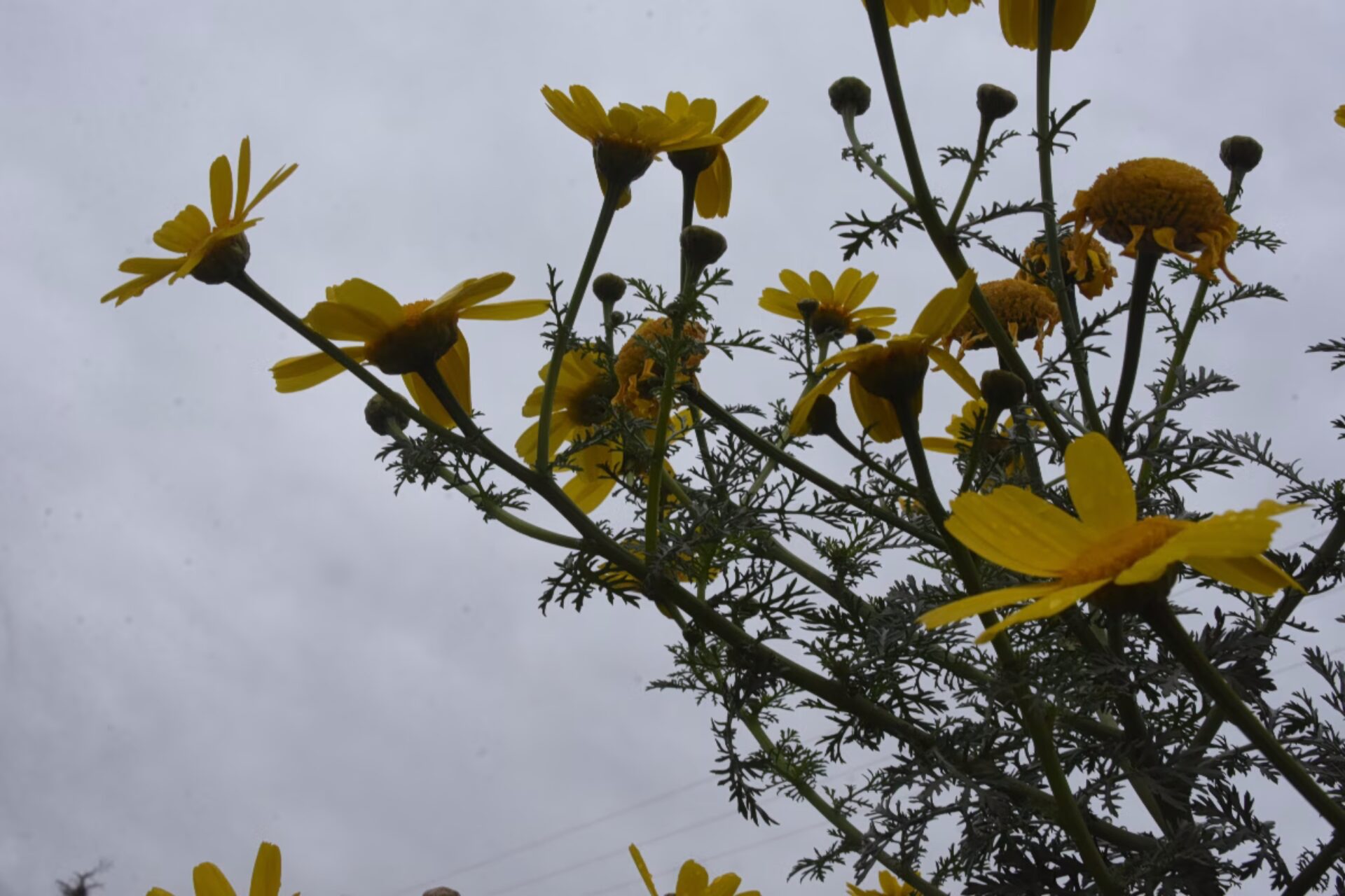 Καιρός: Καταιγίδες τώρα και πολικό ψύχος την Πρωτομαγιά – Επιστρέφει ο χειμώνας