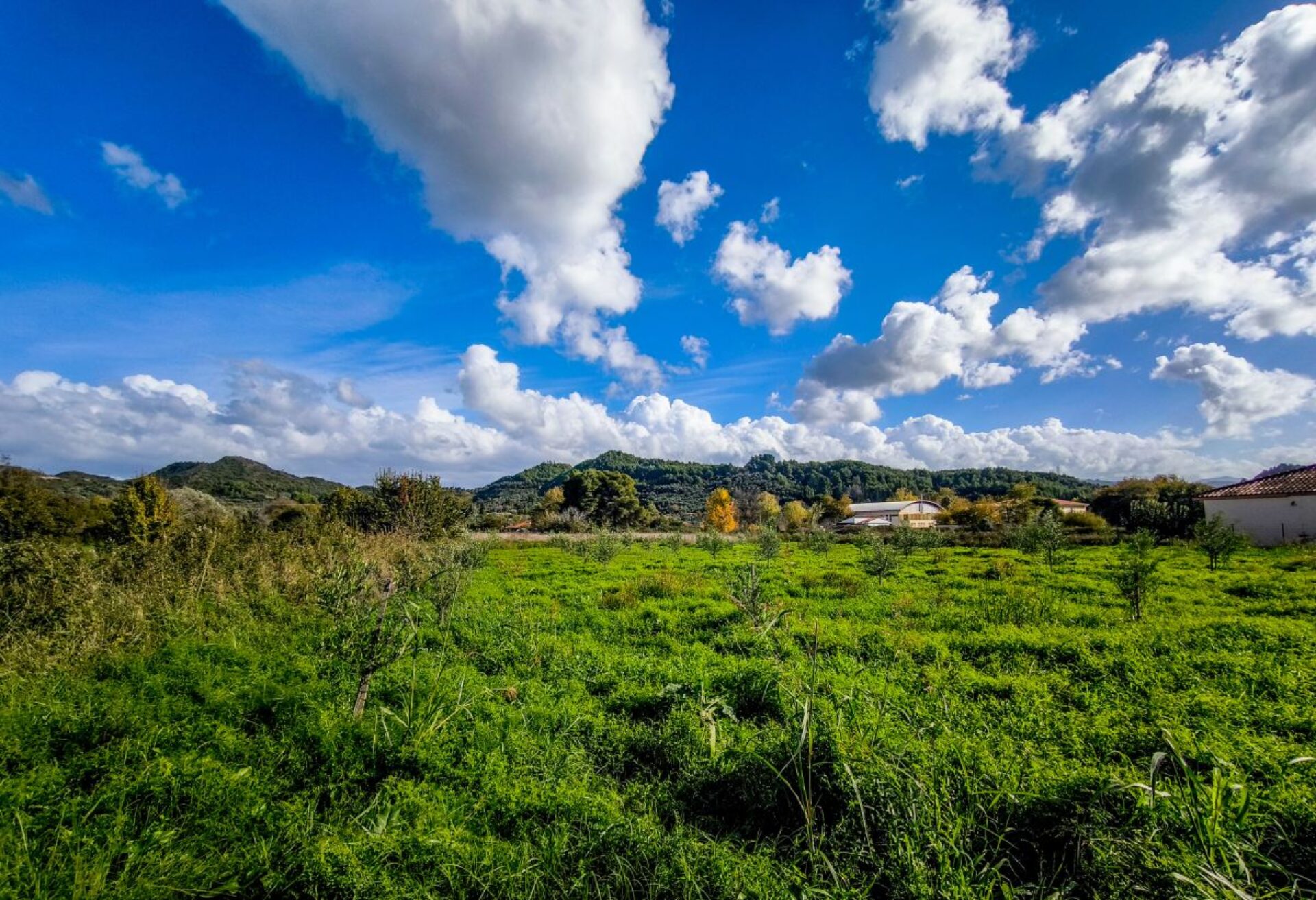 Καιρός: Μικρή άνοδος της θερμοκρασίας – Πού θα βρέξει μετά το μεσημέρι