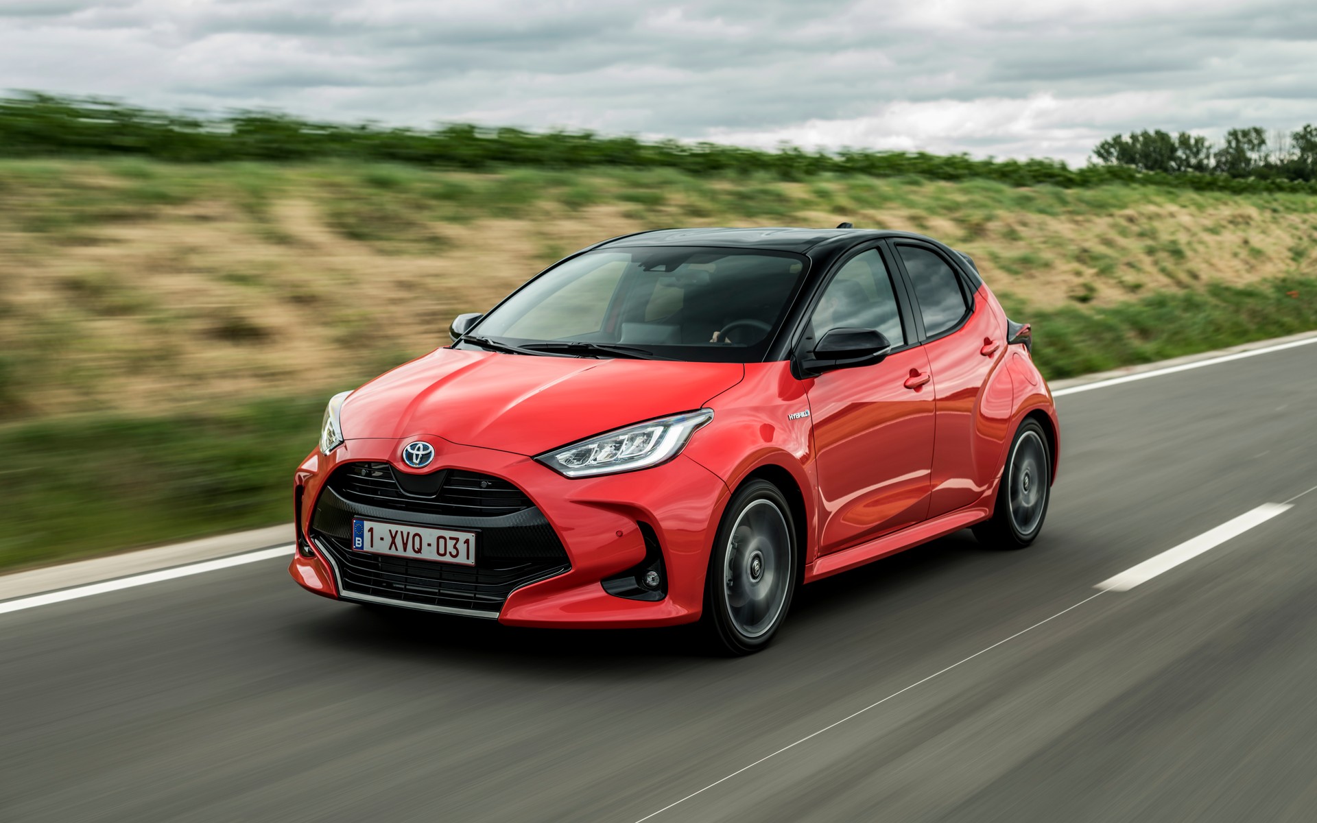 yaris