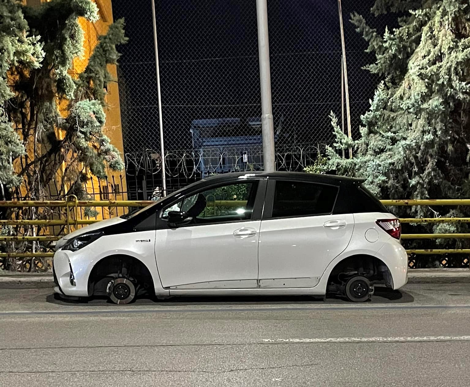 yaris