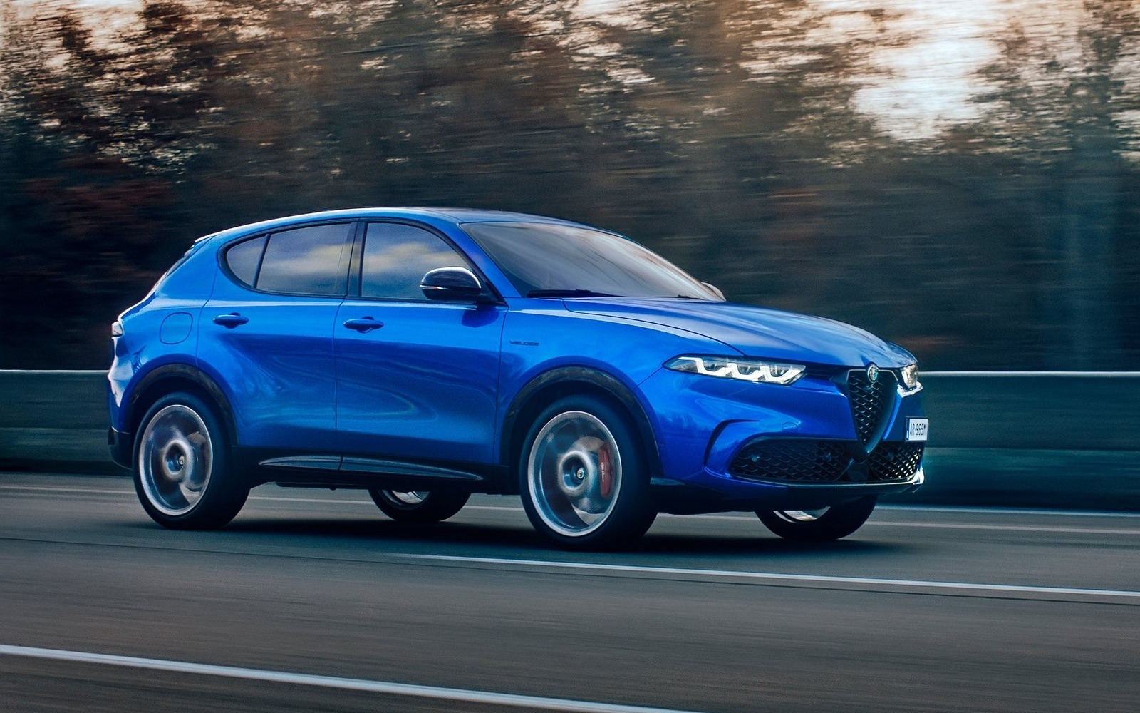 alfa suv