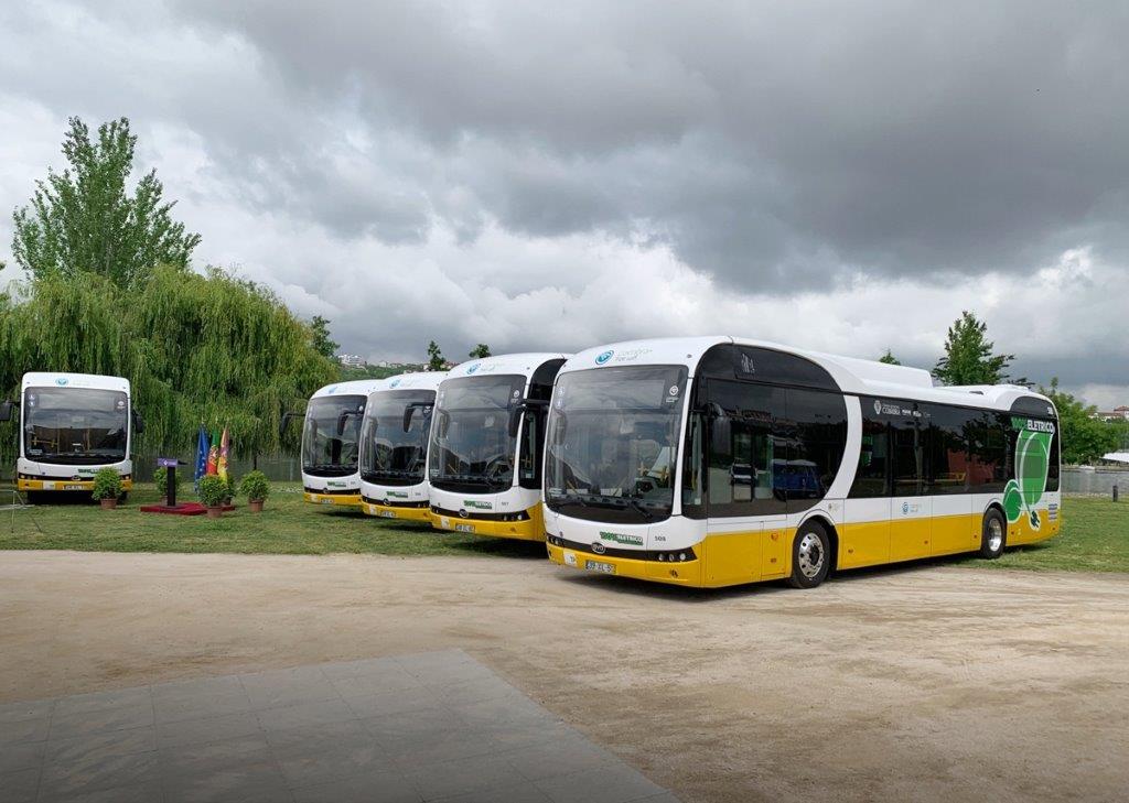 buses