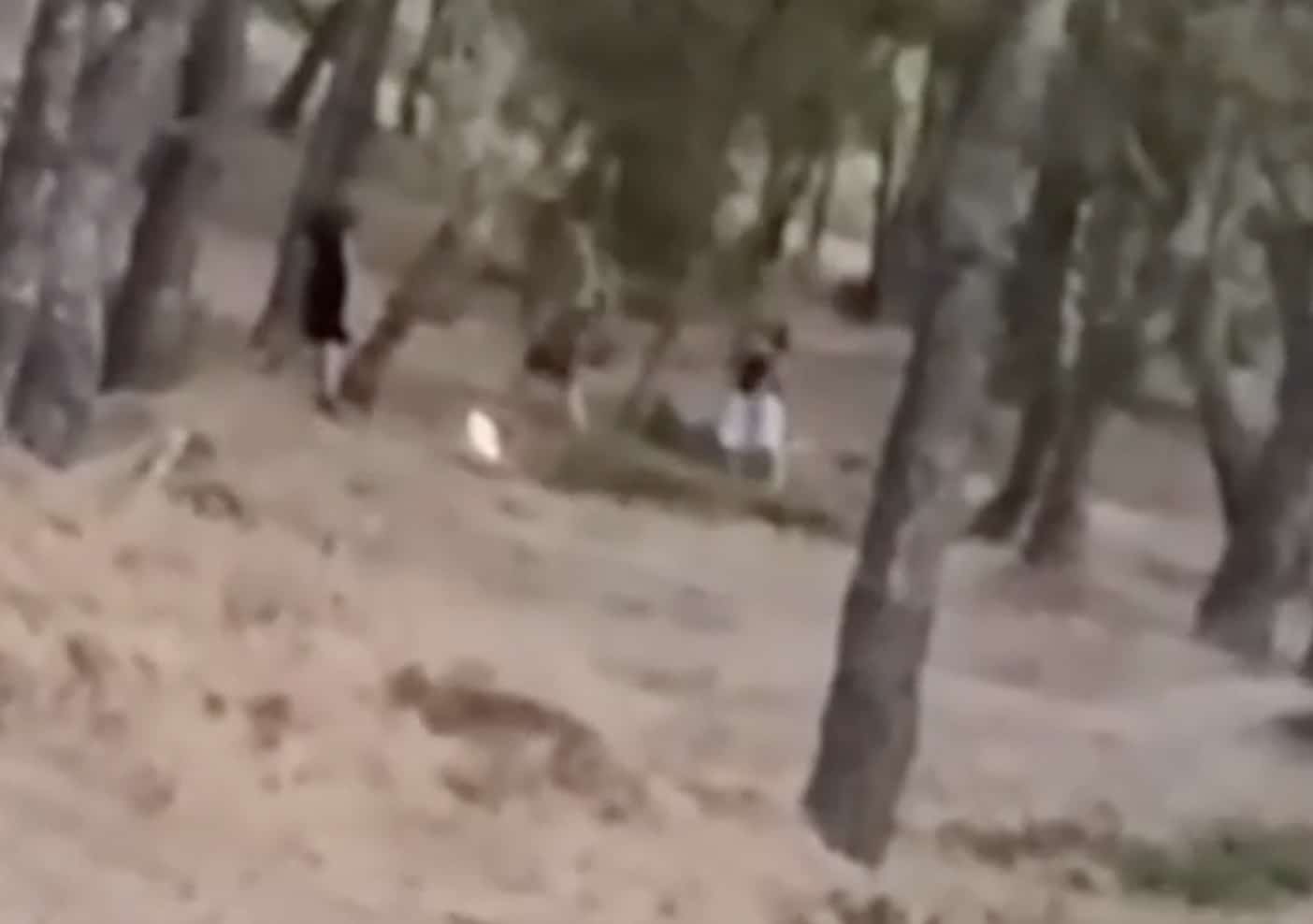 Άνω Βριλήσσια: «Challenge» ανηλίκων μέσα σε δάσος - Βάζουν φωτιά και μετά προσπαθούν να τη σβήσουν 1 stigmiotypo othonis 2026 08 10 14.10.35